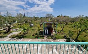 Dream In Chalkidiki 2 Bedroom Villa With Garden