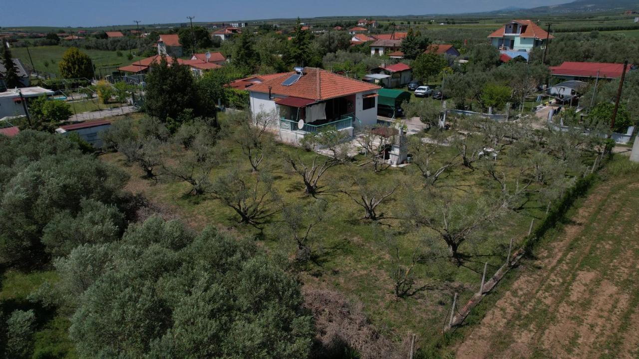 Dream In Chalkidiki 2 Bedroom Villa With Garden Nea Triglia Exterior foto