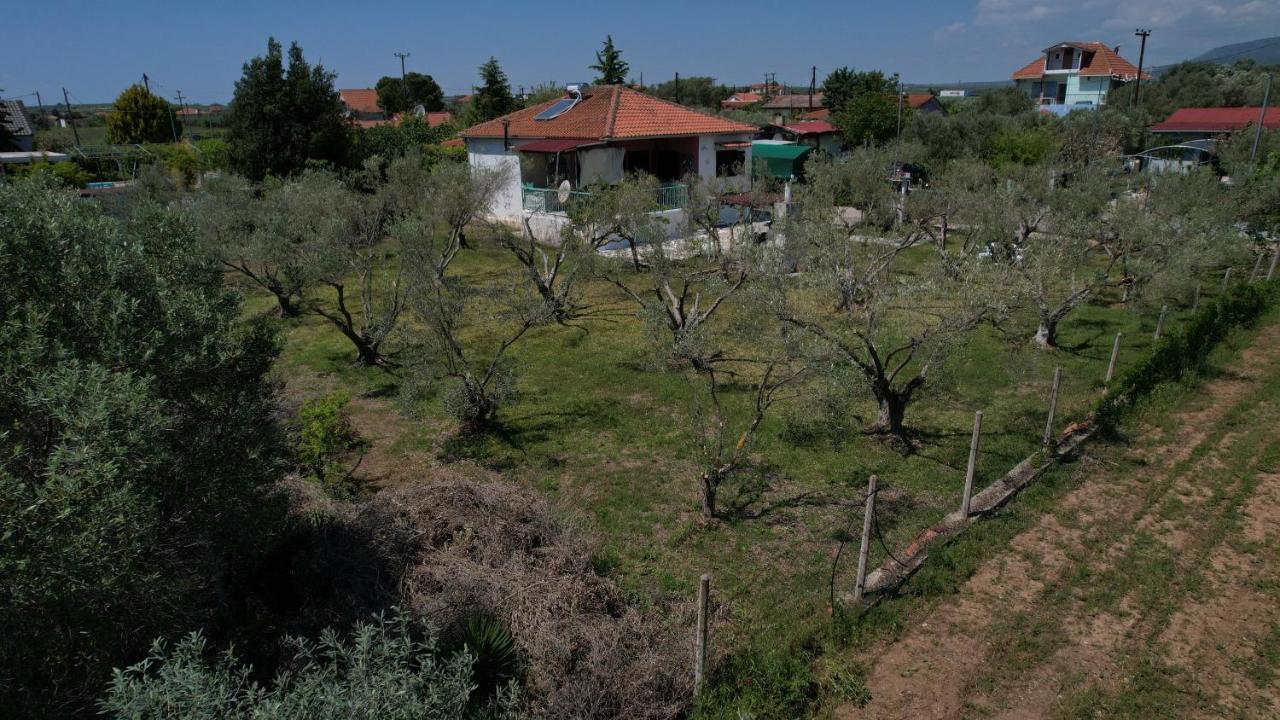 Dream In Chalkidiki 2 Bedroom Villa With Garden Nea Triglia Exterior foto